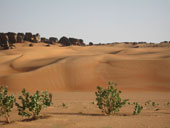 Dunes près de Rachid